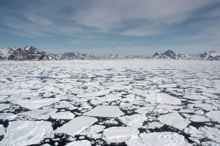 格陵兰岛的海冰正在融化