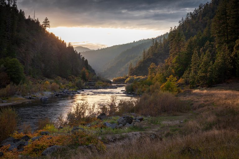 河景色视图在树的树下反对天空，在日落，Rogue河，俄勒冈，美国，美国，美国