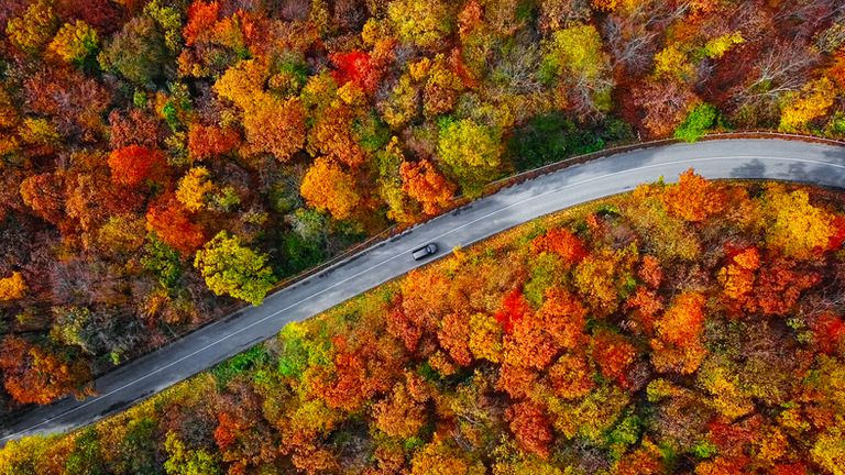 在五颜六色的秋天森林里面的绕山路顶上的鸟瞰图