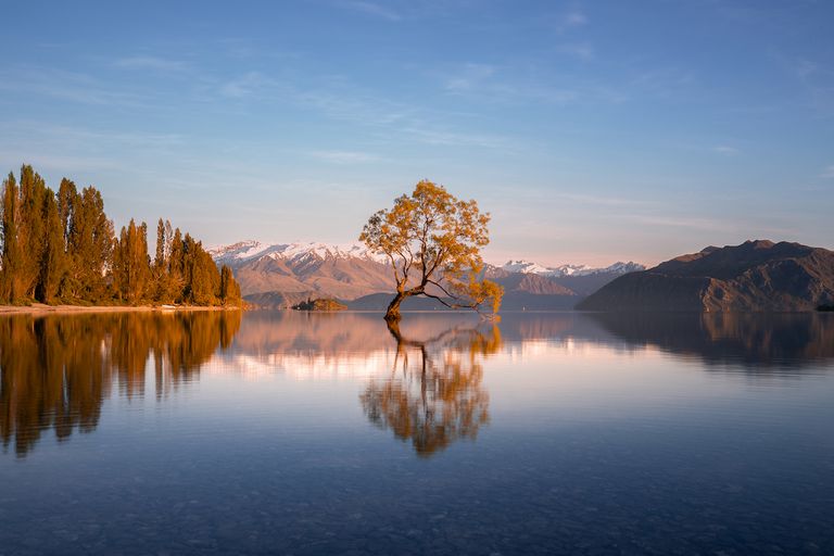 这是新西兰南岛瓦纳卡湖上的一棵孤独的树，这张照片是在清晨日出时在湖边拍摄的“class=