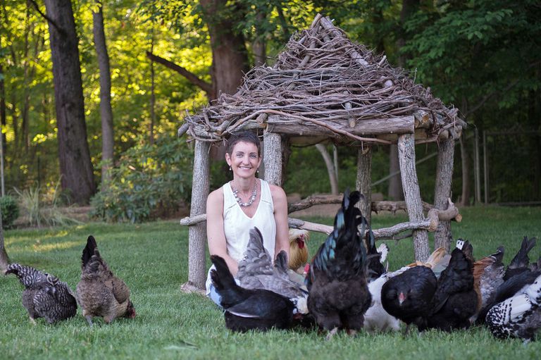 凯西·谢伊·莫米诺和鸡在院子里