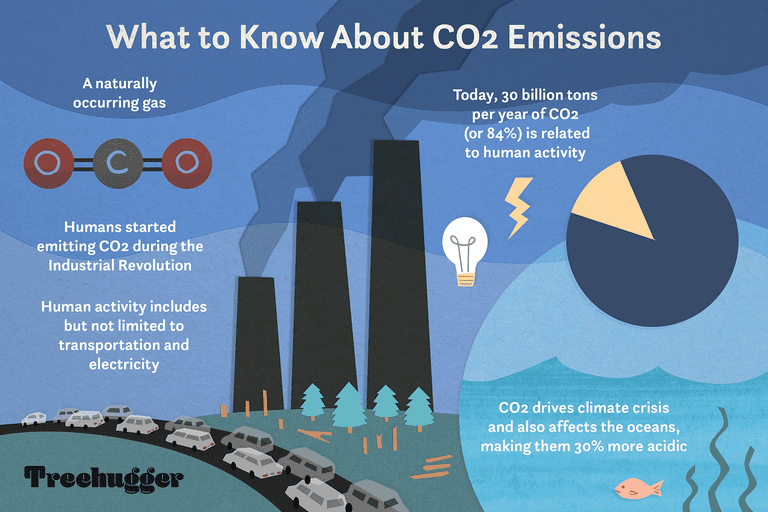 图表的彩色插图显示co2排放如何影响气候危机